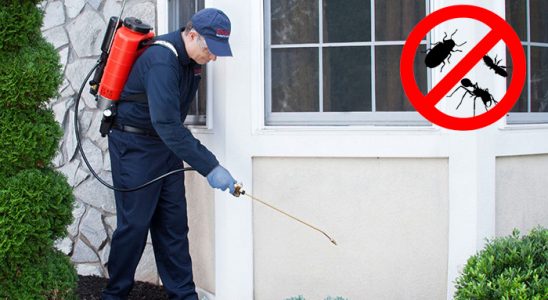Avanos Karınca İlaçlama böcek ilaçlama ve haşere kontrolü — ilaclama-tr.com